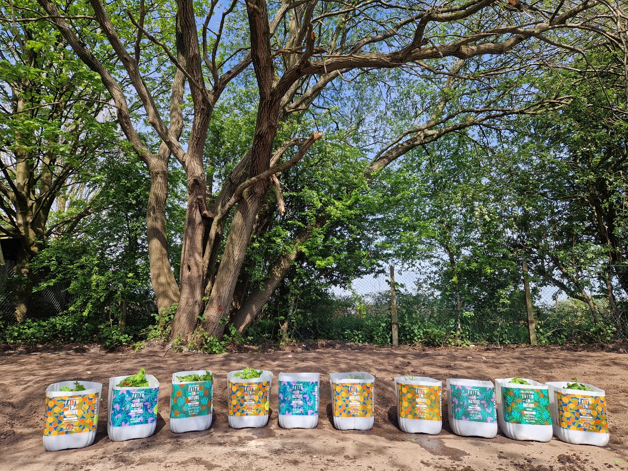 Recycled Faith in Nature Planters in a clearing in the woods