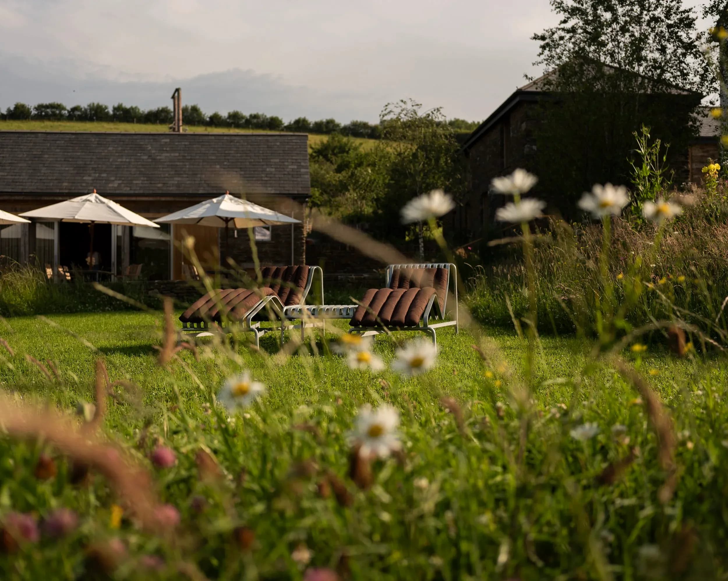 Fowlescombe Farm VIP stay - View of grounds with wildflowers and loungers