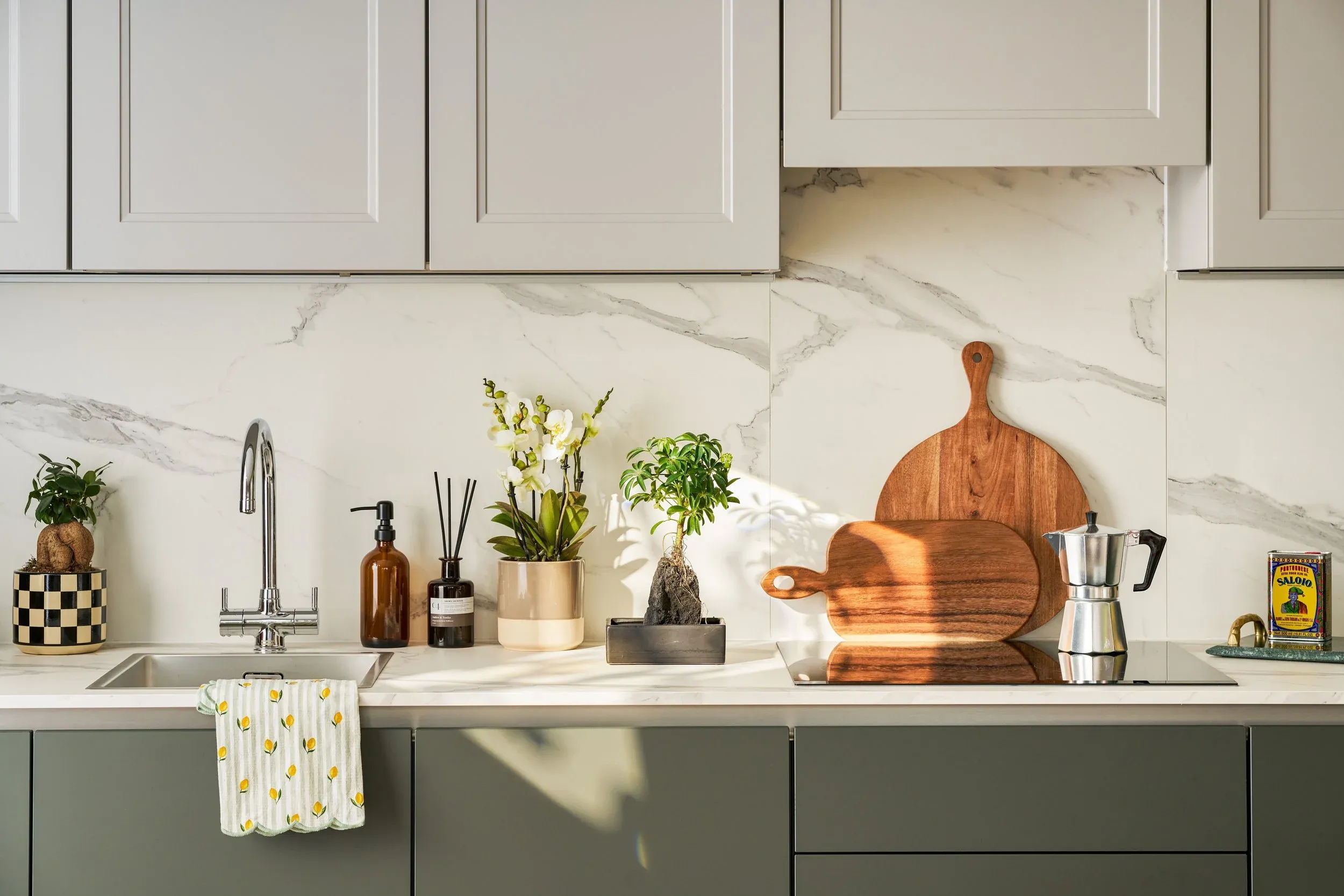 Patch Plants Friends and Family Discount - Kitchen counter with array of Patch Plants