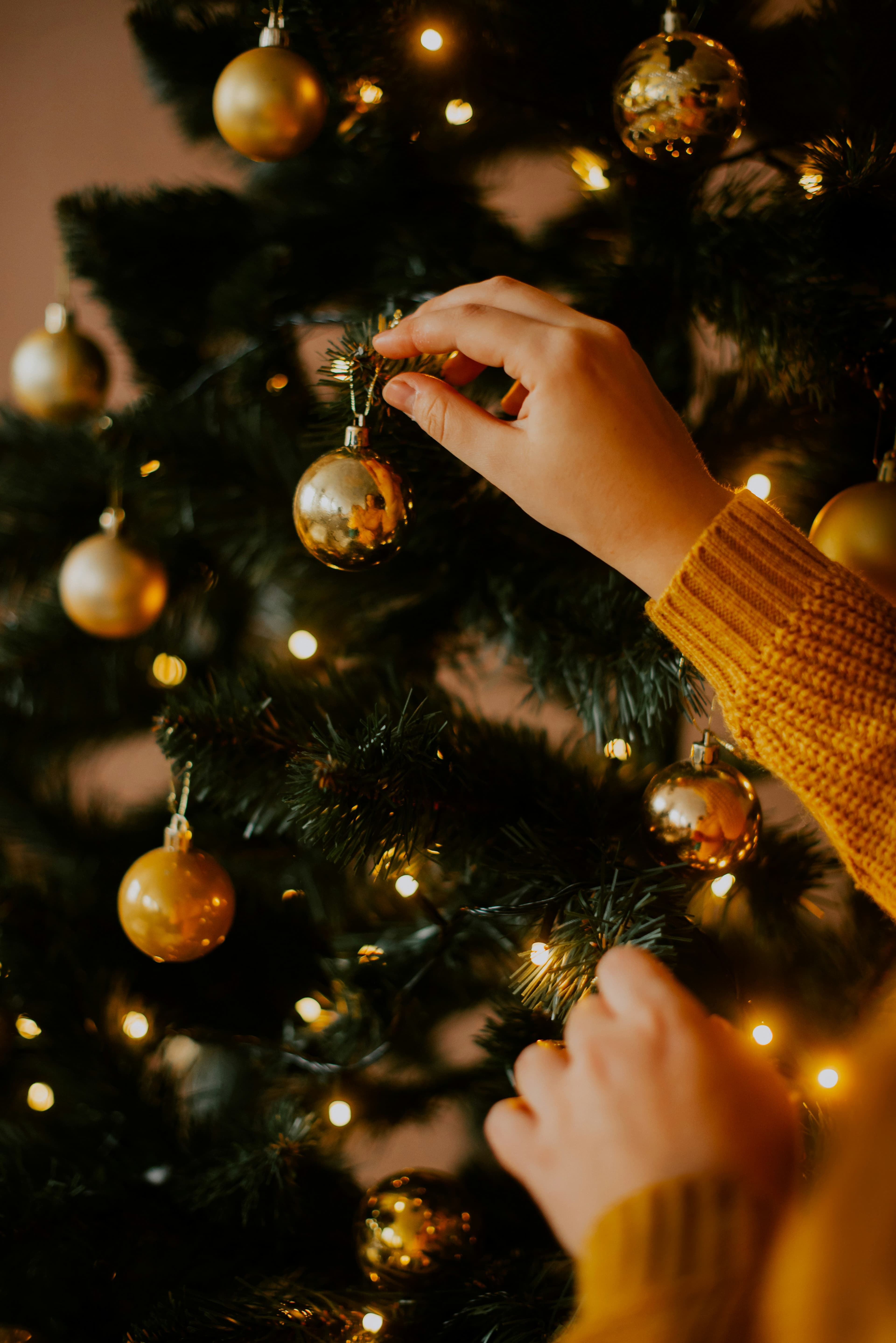 A person adding decorations to a tree
